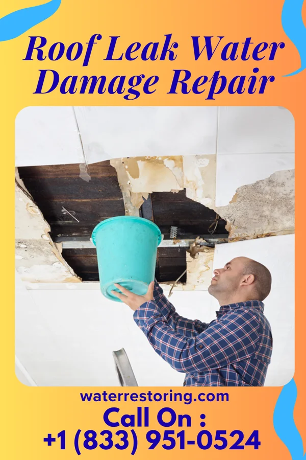 Roof Leak Water Damage Repair in Mill Creek East, WA